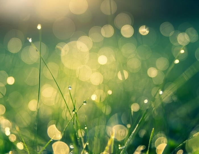 Оздоровительная - Лечебные программы - Санаторий «Белая Дача»