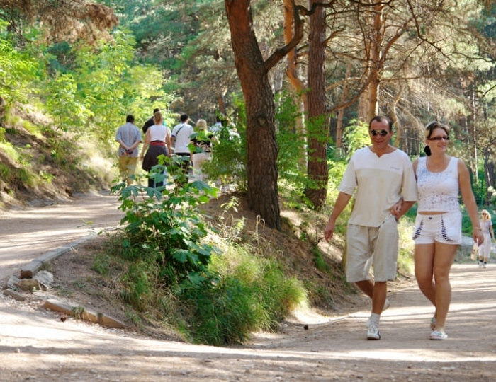 Терренкур - Оздоровительные услуги - Санаторий «Белая Дача»